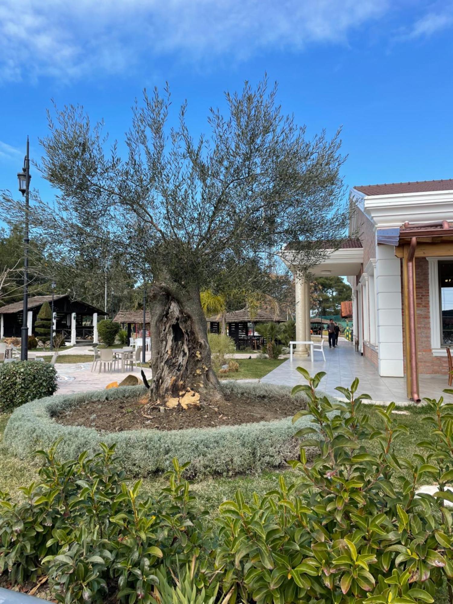 Hotel Agroturizem Eldi Fier Exterior foto